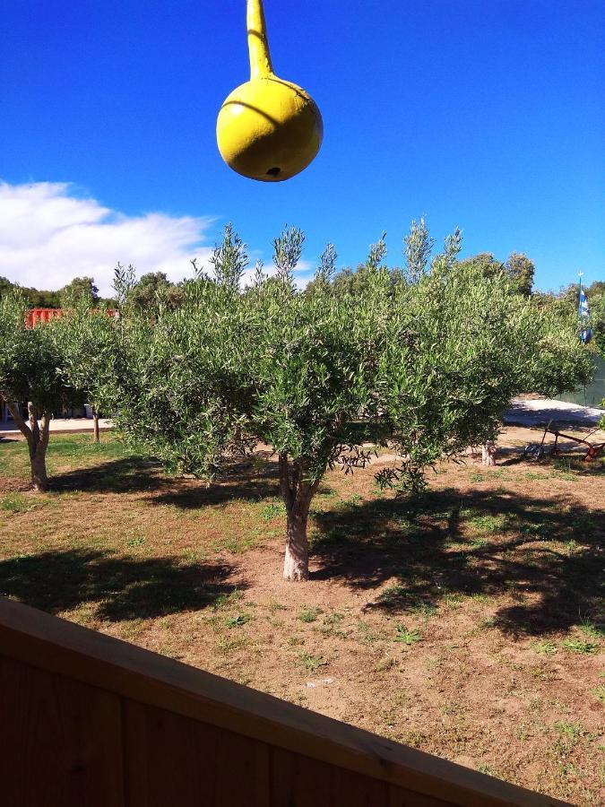 Farma Giannis Daire Sarti Dış mekan fotoğraf